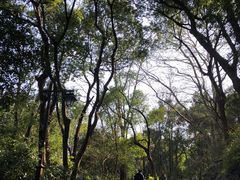 -吴山景区