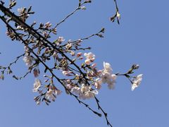 -仲盛世界商城