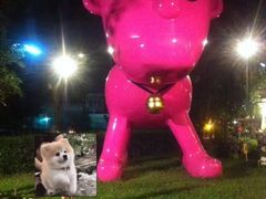 -莓园冰淇淋店