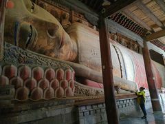 -张掖大佛寺景区