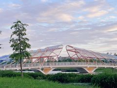 -南汇新城城市公园