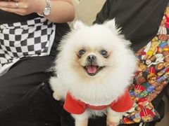 -怪兽屋·羊驼·猫咖·狗咖(俊华广场店)