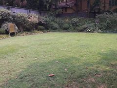 内景-上海孙中山故居纪念馆