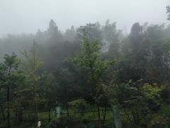 -井冈山风景名胜区