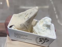 -野人先生现做冰淇淋(深圳壹方城店)