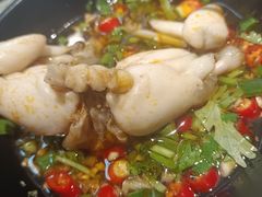 -销魂美蛙鱼头火锅(上海首店)