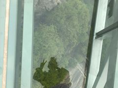 -陕西省红河谷森林公园