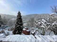 -武陵山森林公园