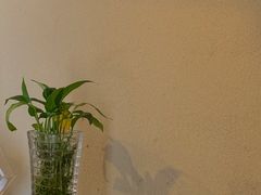 -上岛咖啡(抚生路店)