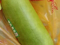 -三林塘老街