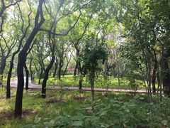 -长辛店二七公园