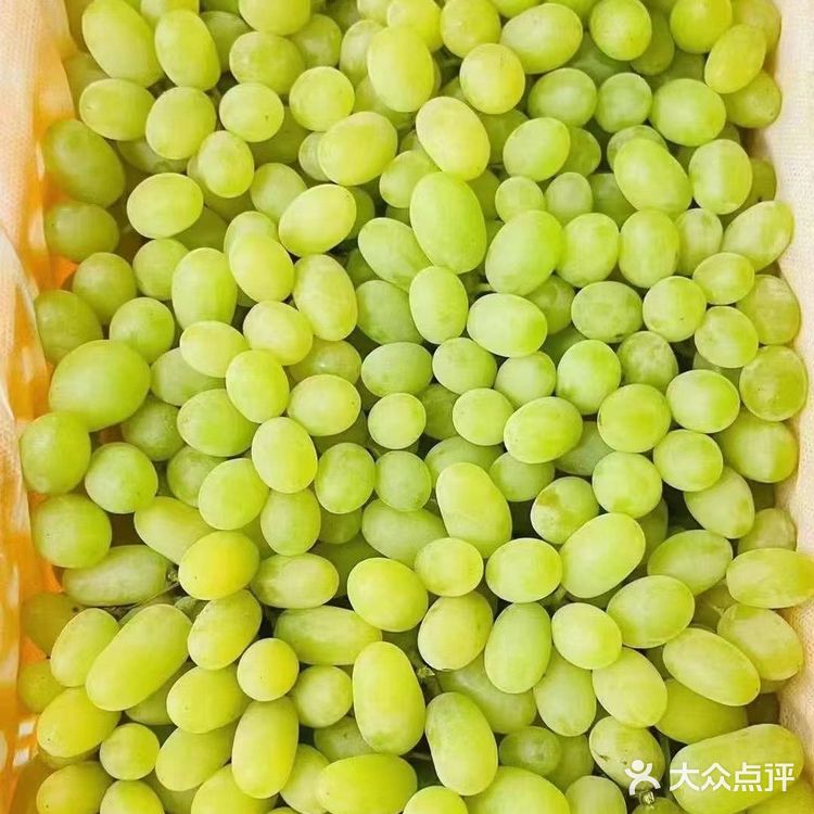来自田园的新鲜直送！水果自由！！！