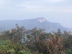 -泰山风景名胜区