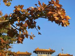 -北京西山国家森林公园