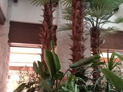 -太湖饭店·寄畅轩中餐厅