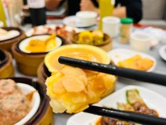 -华峰食馆(氹仔店)