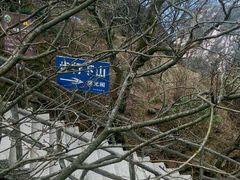 -黄山温泉国际旅游度假区