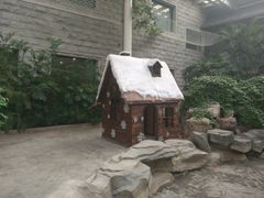 android_upload_pic-龙达温泉生态城