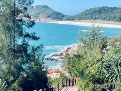 -广东惠东海龟国家级自然保护区