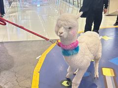 -凯德广场(学府店)