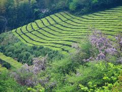 -敬亭山风景名胜区