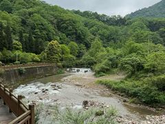 -青城山