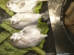 -屋头串串(新街里店)