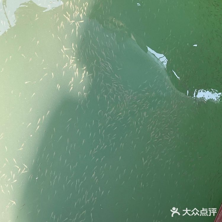 新村码头!海鲜买到爽,帮你避坑!