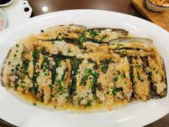 -椿不老