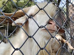 -荆州中山公园动物园