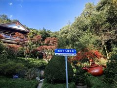 -阿巧茶庄