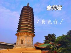 -八大处公园