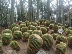 -南山植物园