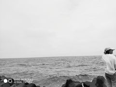 -南汇嘴观海公园