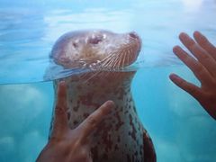 -多彩贵州城极地海洋世界