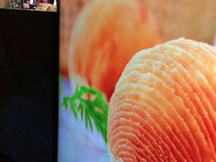 -蝴蝶里·粤菜·点心(滨江龙湖店)