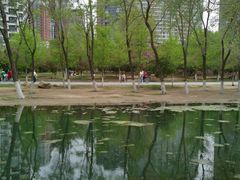 -长白岛森林公园