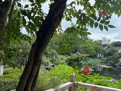 -东山雕花楼