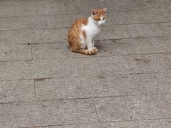-四门塔风景区