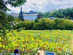 -贵阳市花溪国家城市湿地公园