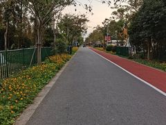 -上海长兴岛郊野公园