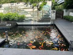 -广州白天鹅宾馆