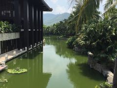 -三亚亚龙湾雅高铂尔曼别墅度假酒店