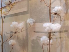 -三五九旅屯垦纪念馆