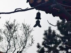 -哈尔滨极乐寺