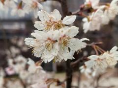 -贵阳市花溪国家城市湿地公园