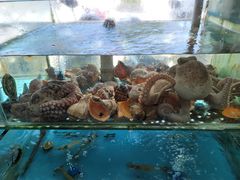 -渔鼎鲜海鲜餐厅(湄洲岛店)
