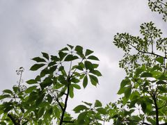 -龙江公园