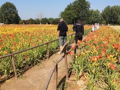 -汉长安城未央宫国家考古遗址公园