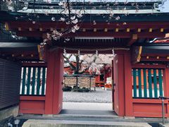 -富士山本宫浅间大社